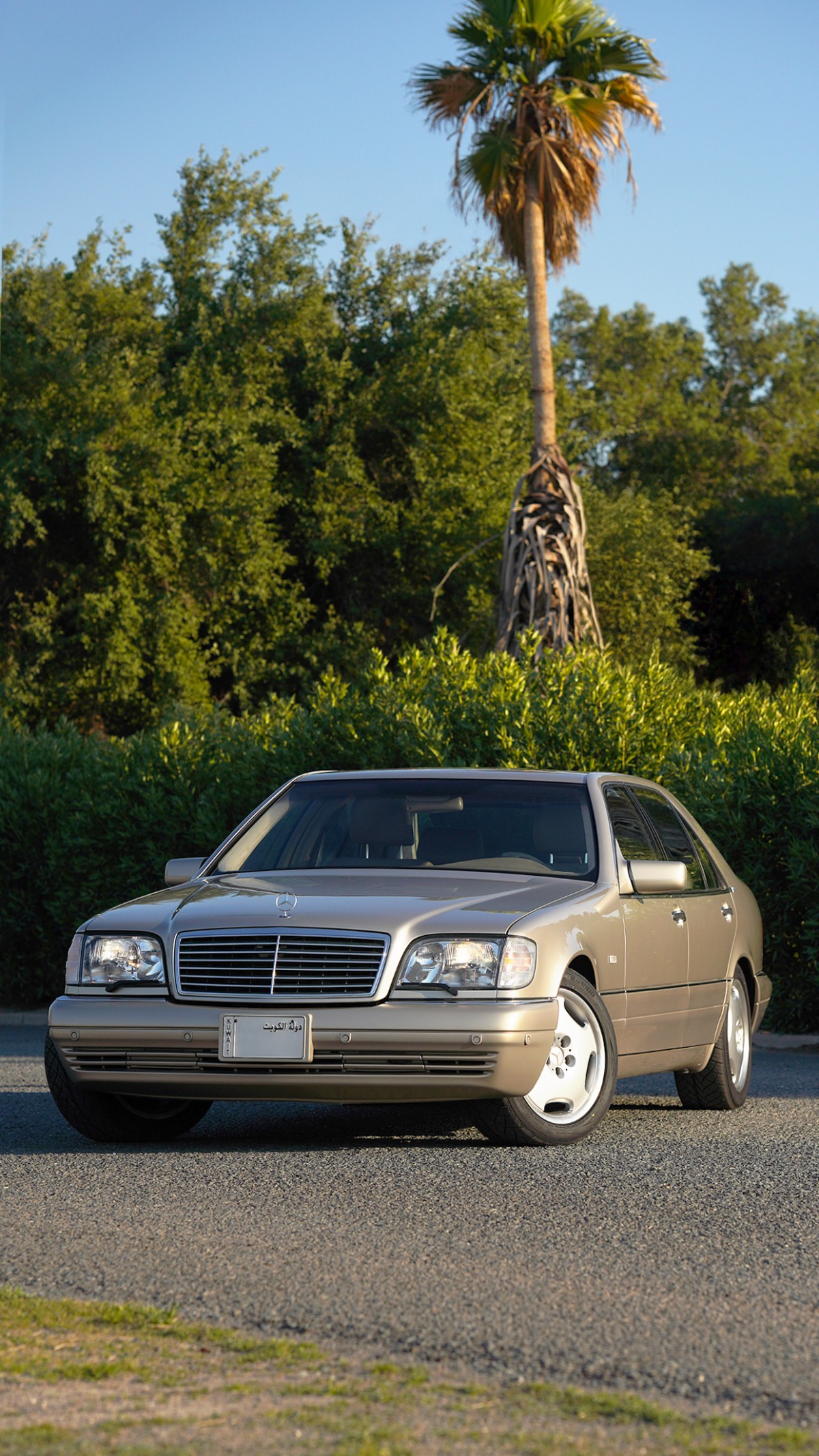 1998 Mercedes-Benz S600 - 119k km