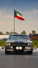 1967 Ford Mustang Fastback - GT500 Eleanor