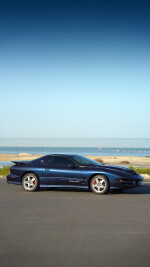 2002 Pontiac Firebird Trans Am WS6 T-Top - 48k mile
